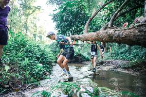 BIB: 
                            <button type="button" onclick="openModal(25432654)" class="btn btn-primary btn-sm float-right btn-popup" data-toggle="modal" data-target=".modal-high-quality">
                        <i class="fas fa-shopping-cart"></i> Add to Cart
                    </button>
                                            <button type="button" onclick="isThisMe(25432654, true)" class="btn btn-success btn-sm float-right btn-popup btn-isme hidden" data-toggle="tooltip" data-placement="bottom" title="นี่คือรูปของคุณใช่ไหม คลิกที่นี่เพื่อเอาเข้าอัลบั้ม">
                        <i class="fas fa-plus"></i> Add to album
                    </button>
                    <button type="button" onclick="isThisMe(25432654, false)" class="btn btn-warning btn-sm float-right btn-popup btn-isnotme hidden">
                        <i class="fas fa-ban"></i> Remove from album
                    </button>